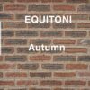 1726637780 Equitoni20Autumn